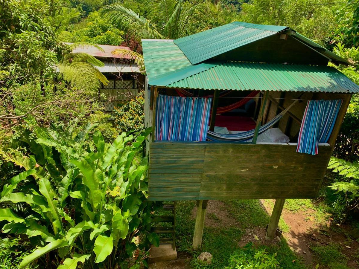 Le Petit Paradis Roseau Exterior foto