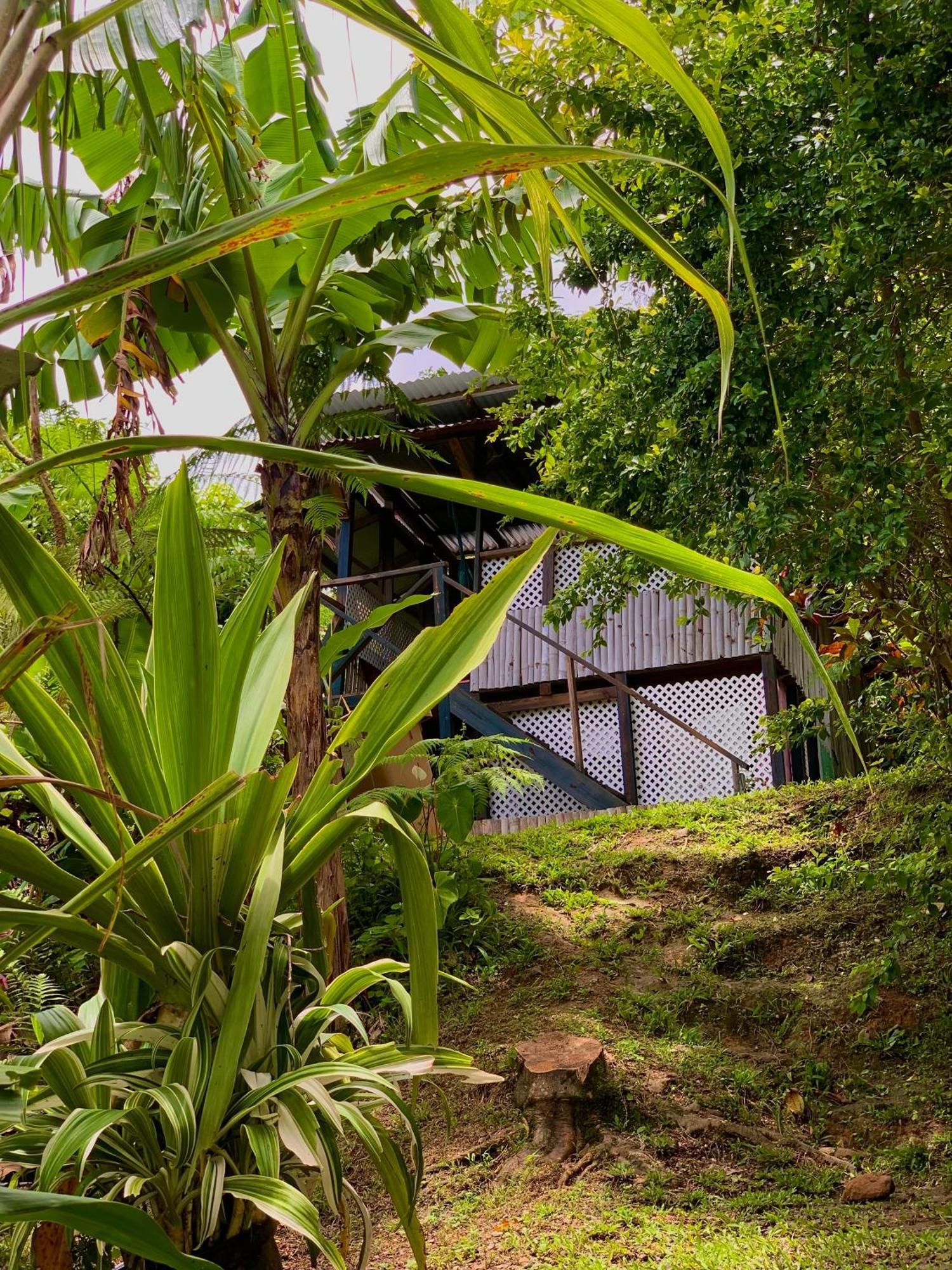 Le Petit Paradis Roseau Exterior foto