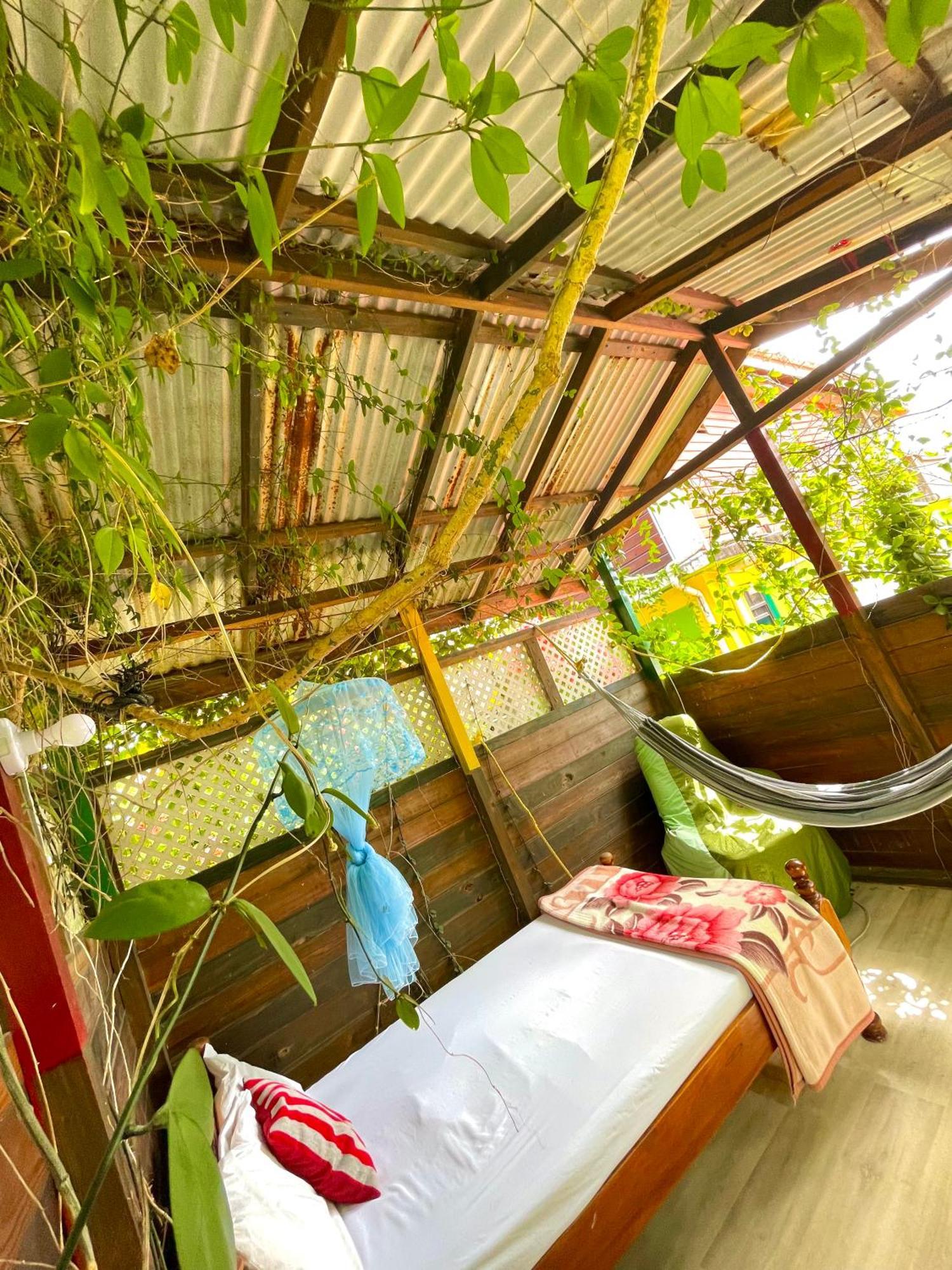 Le Petit Paradis Roseau Exterior foto